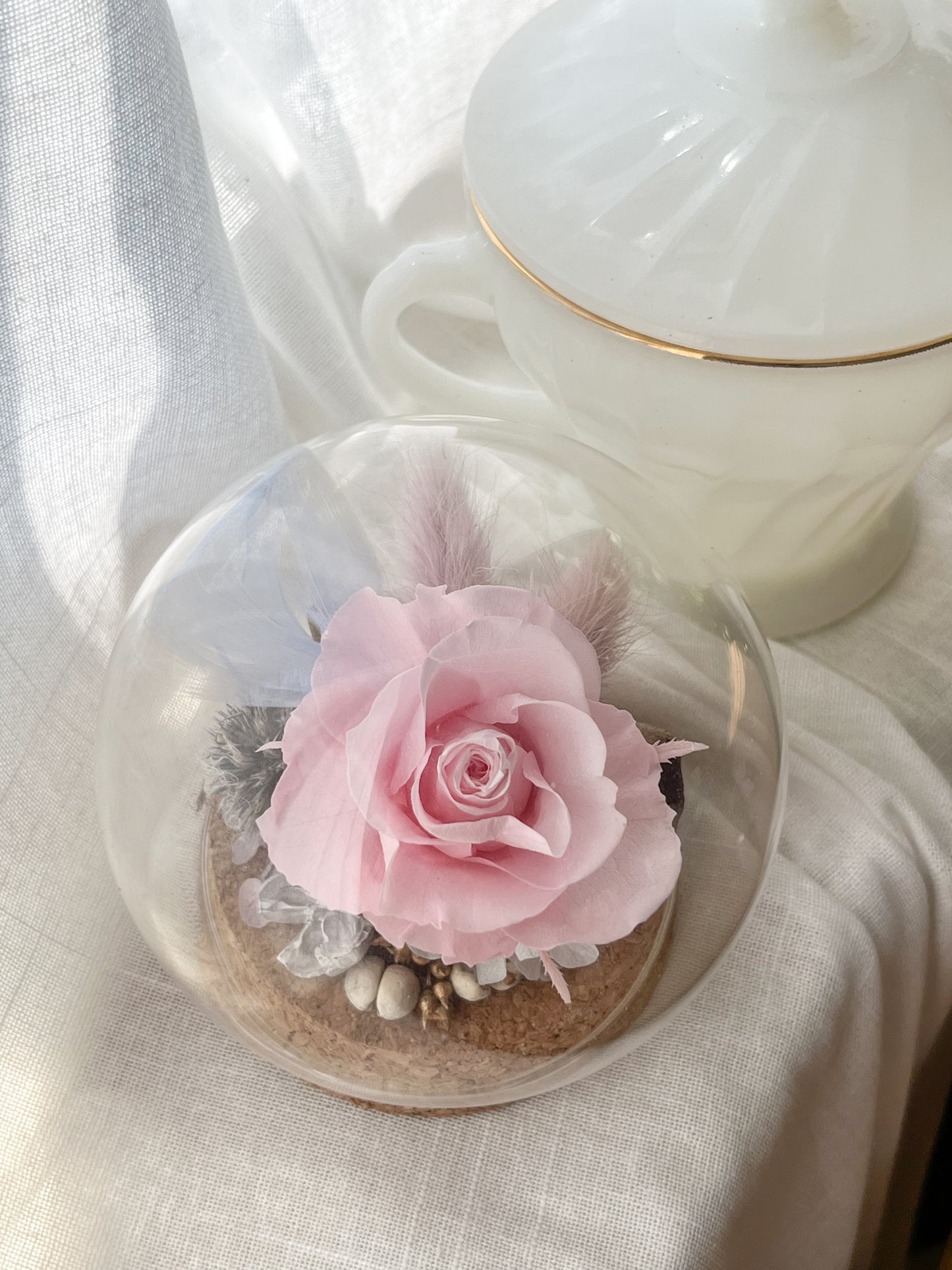 Preserved flower Glass Dome #26 - Grasse Blush