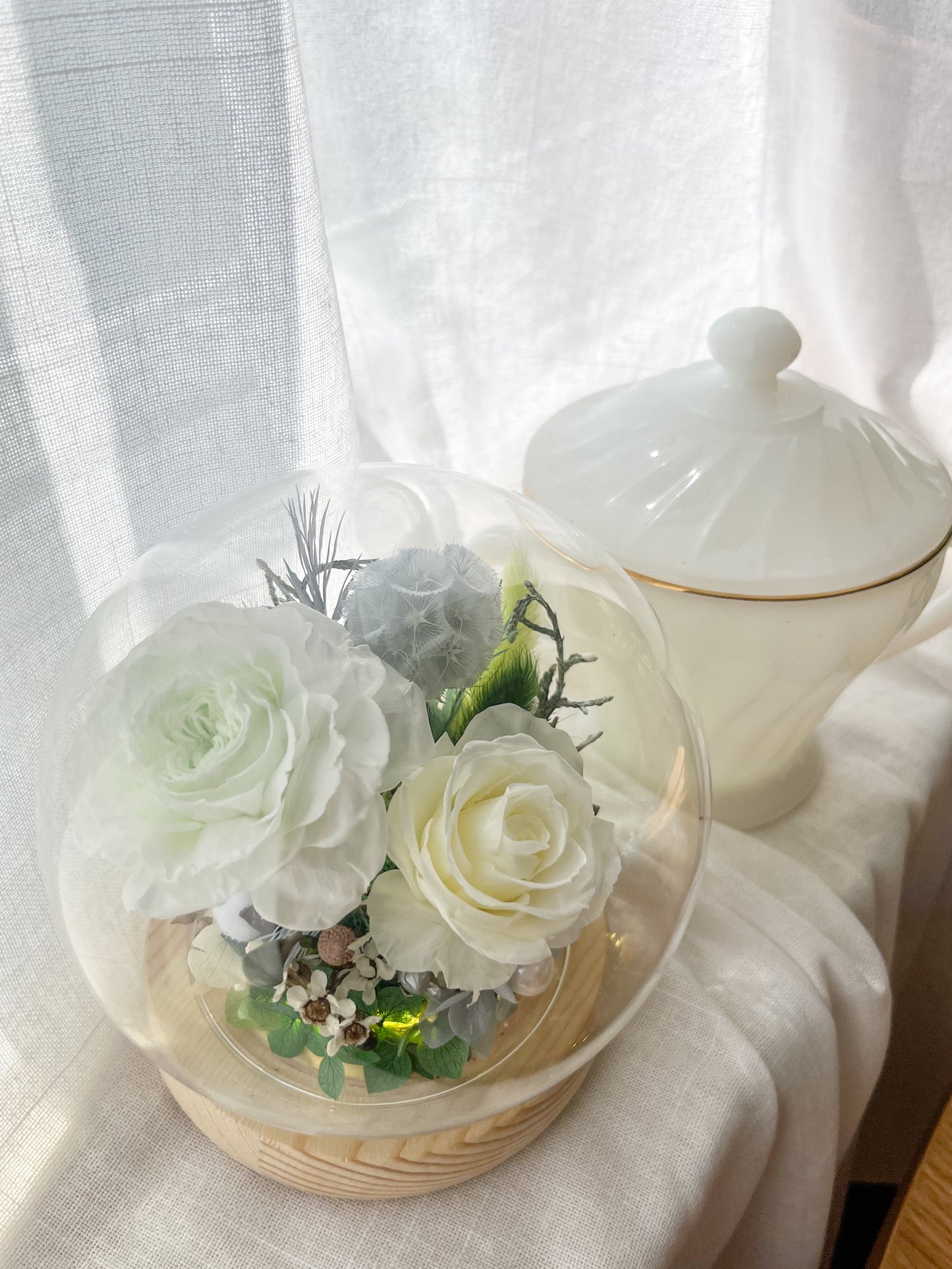 Preserved flower Glass Dome #22 - Portland Rosette (LED Base)