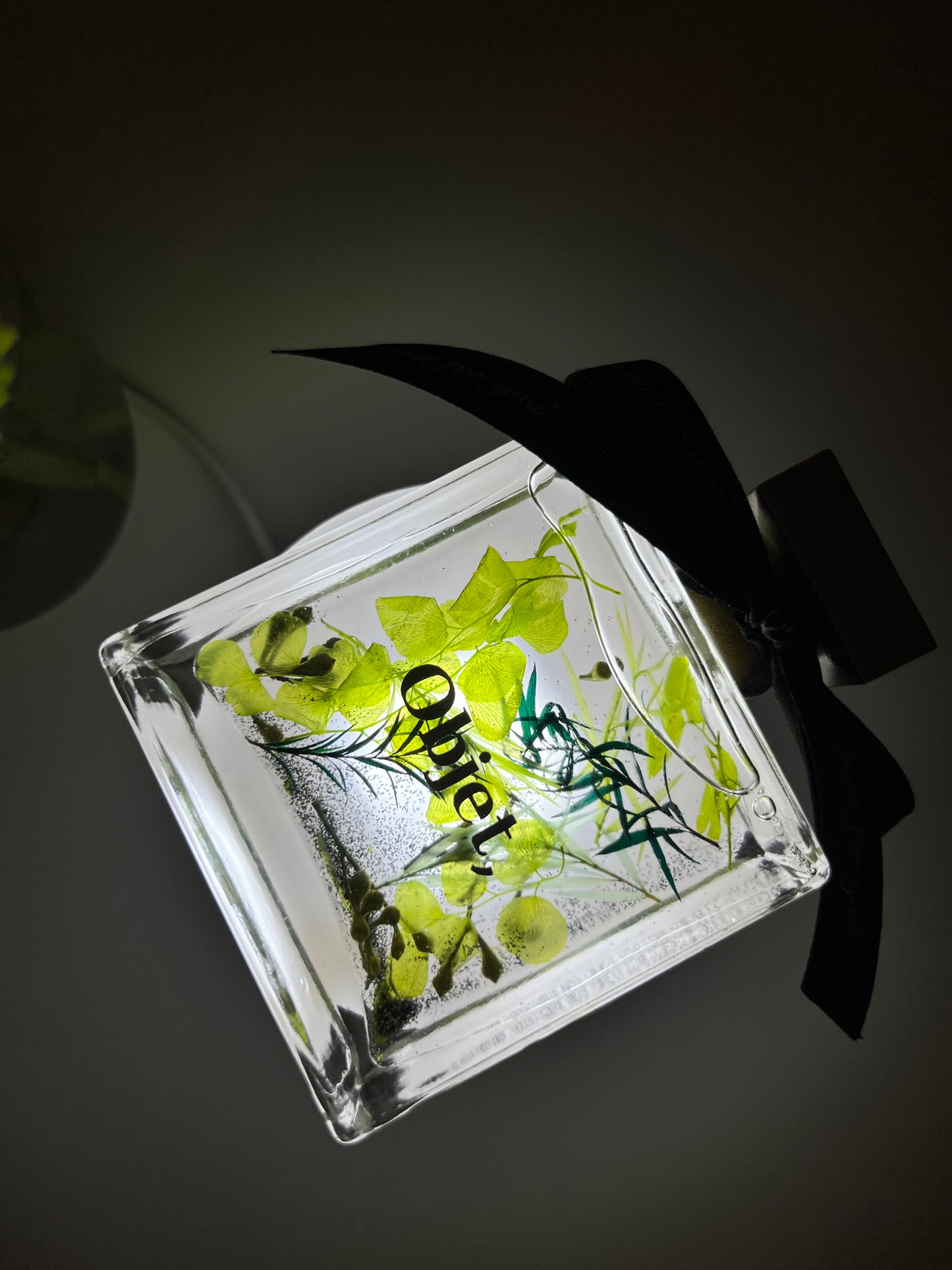 Plant LED light - Meadow Lull