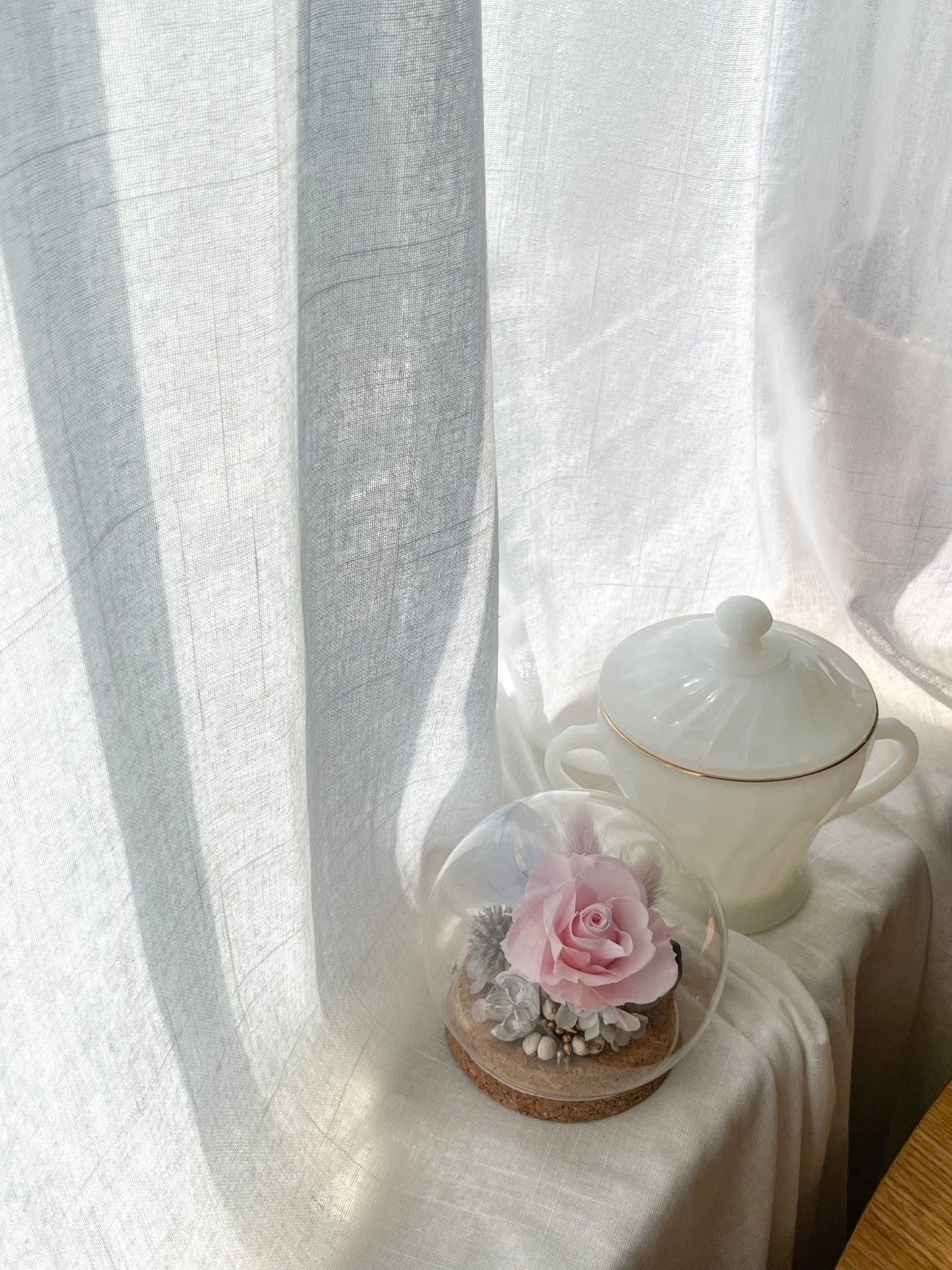 Preserved flower Glass Dome #26 - Grasse Blush