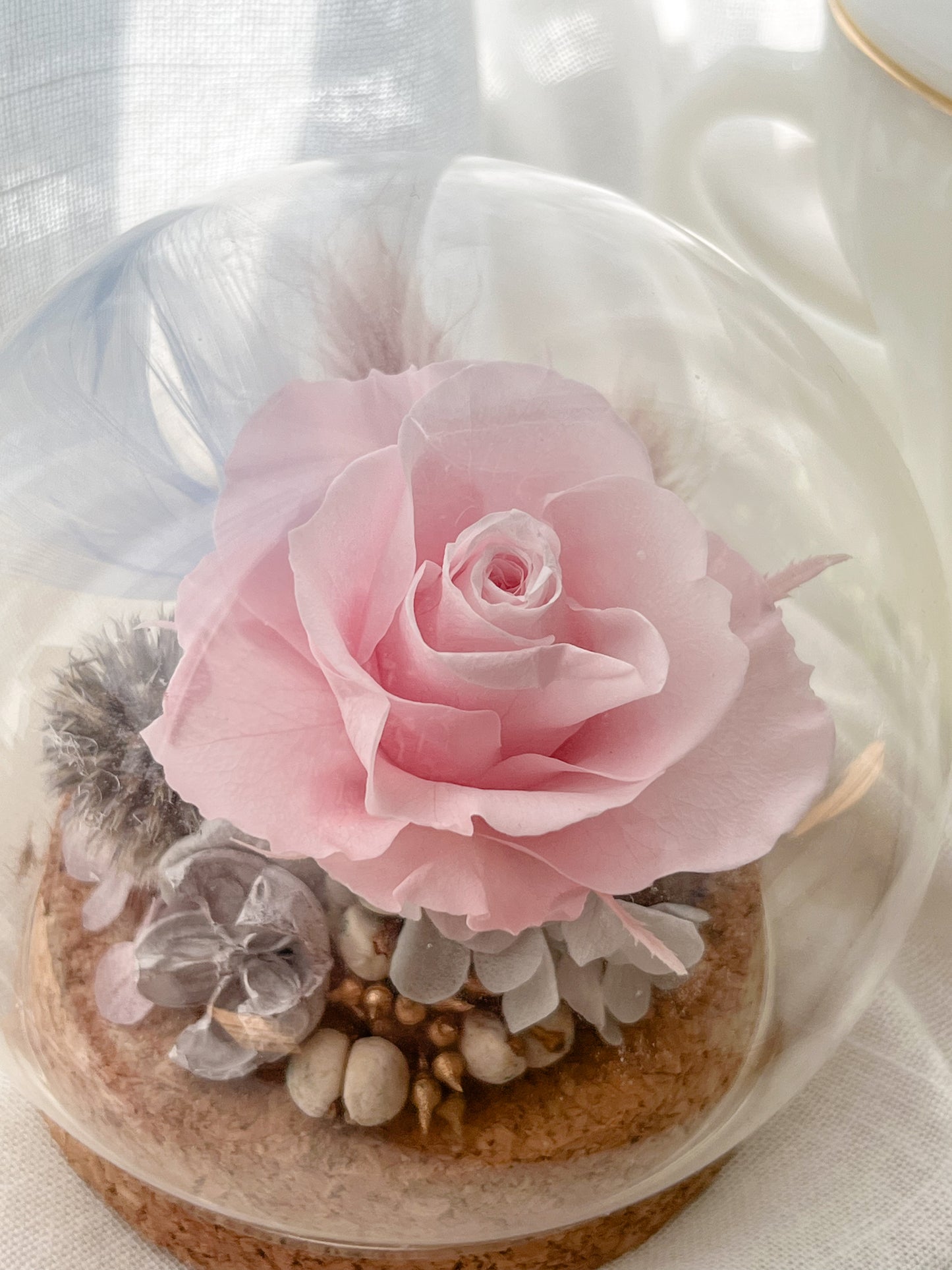 Preserved flower Glass Dome #26 - Grasse Blush