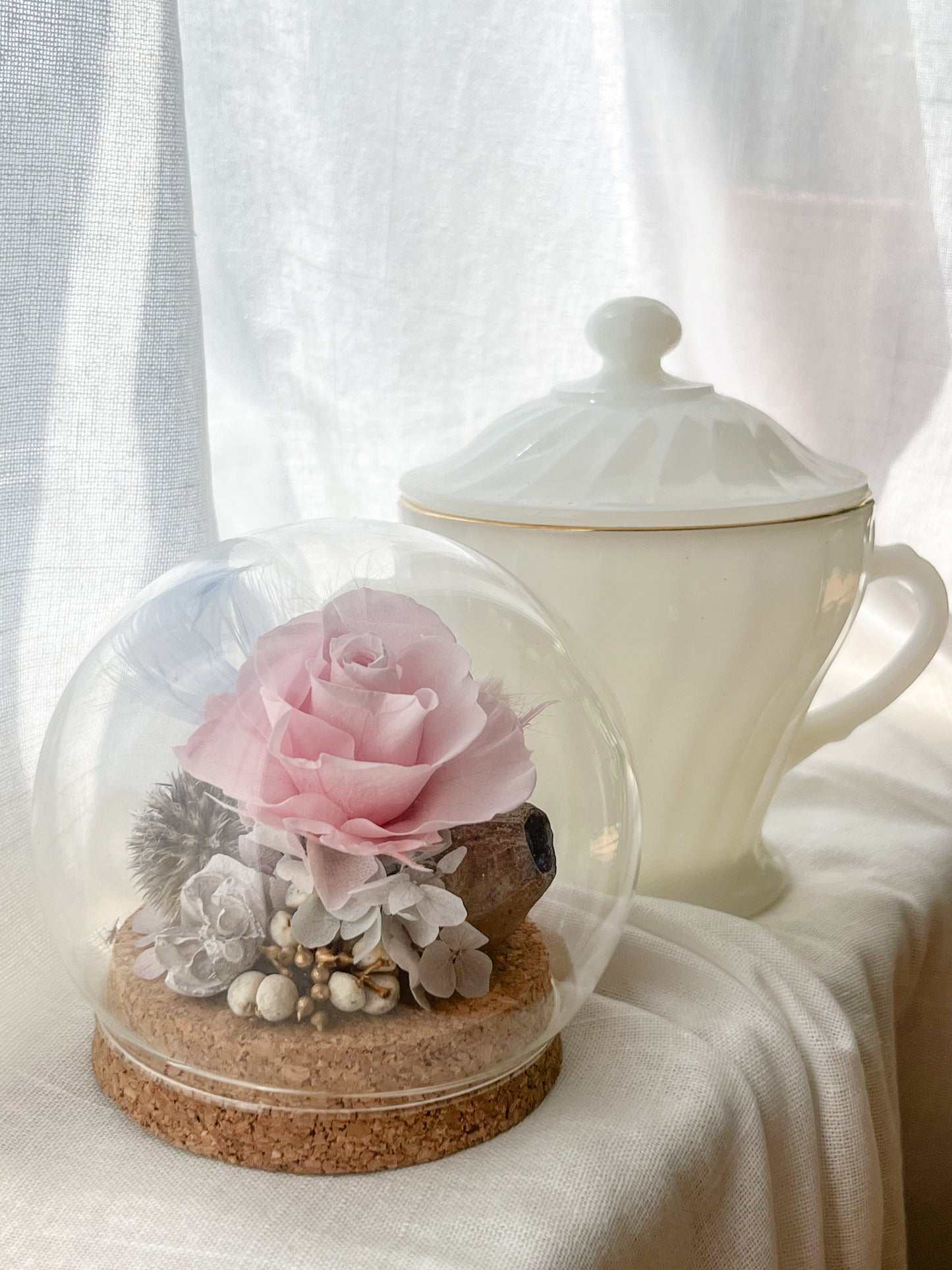 Preserved flower Glass Dome #26 - Grasse Blush
