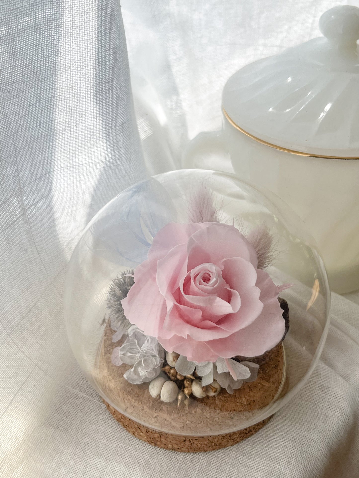 Preserved flower Glass Dome #26 - Grasse Blush