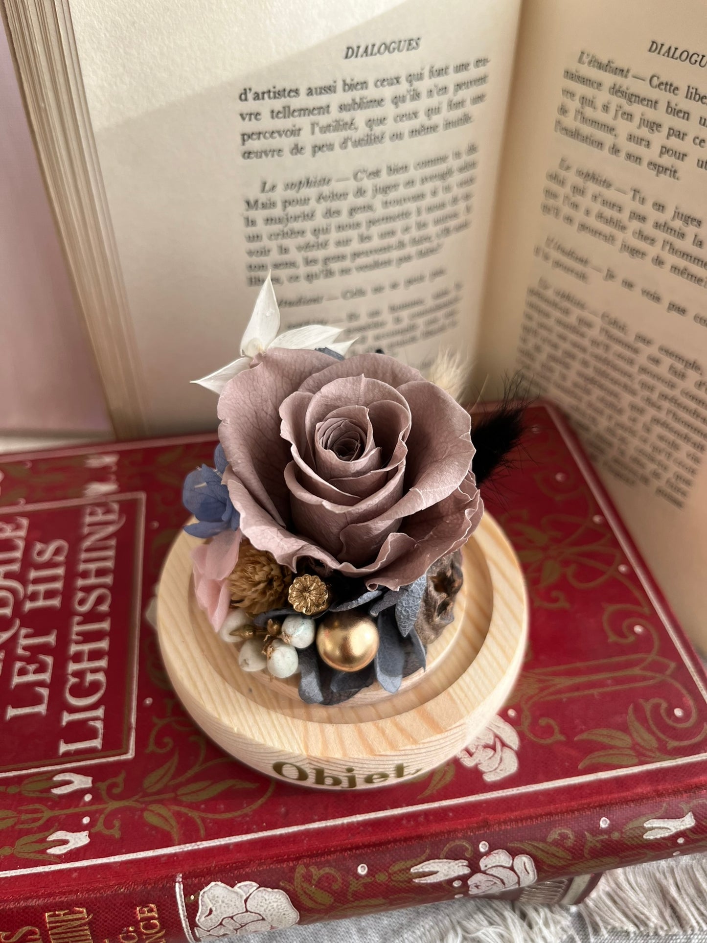 Preserved Rose Glass Dome #11 - Cappuccino