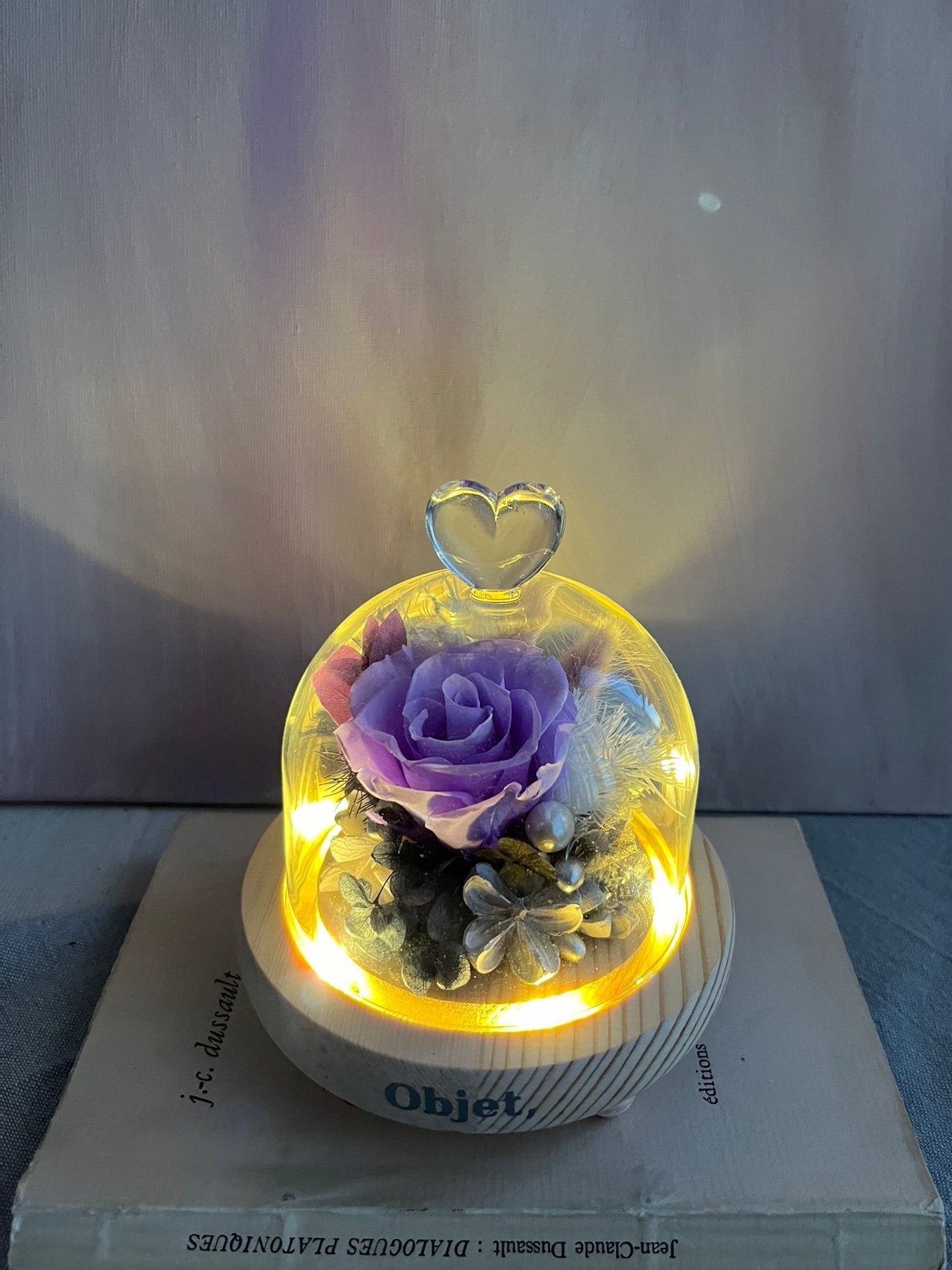 Romantic Gift Glass Dome #2 - Purplisian (LED Base)