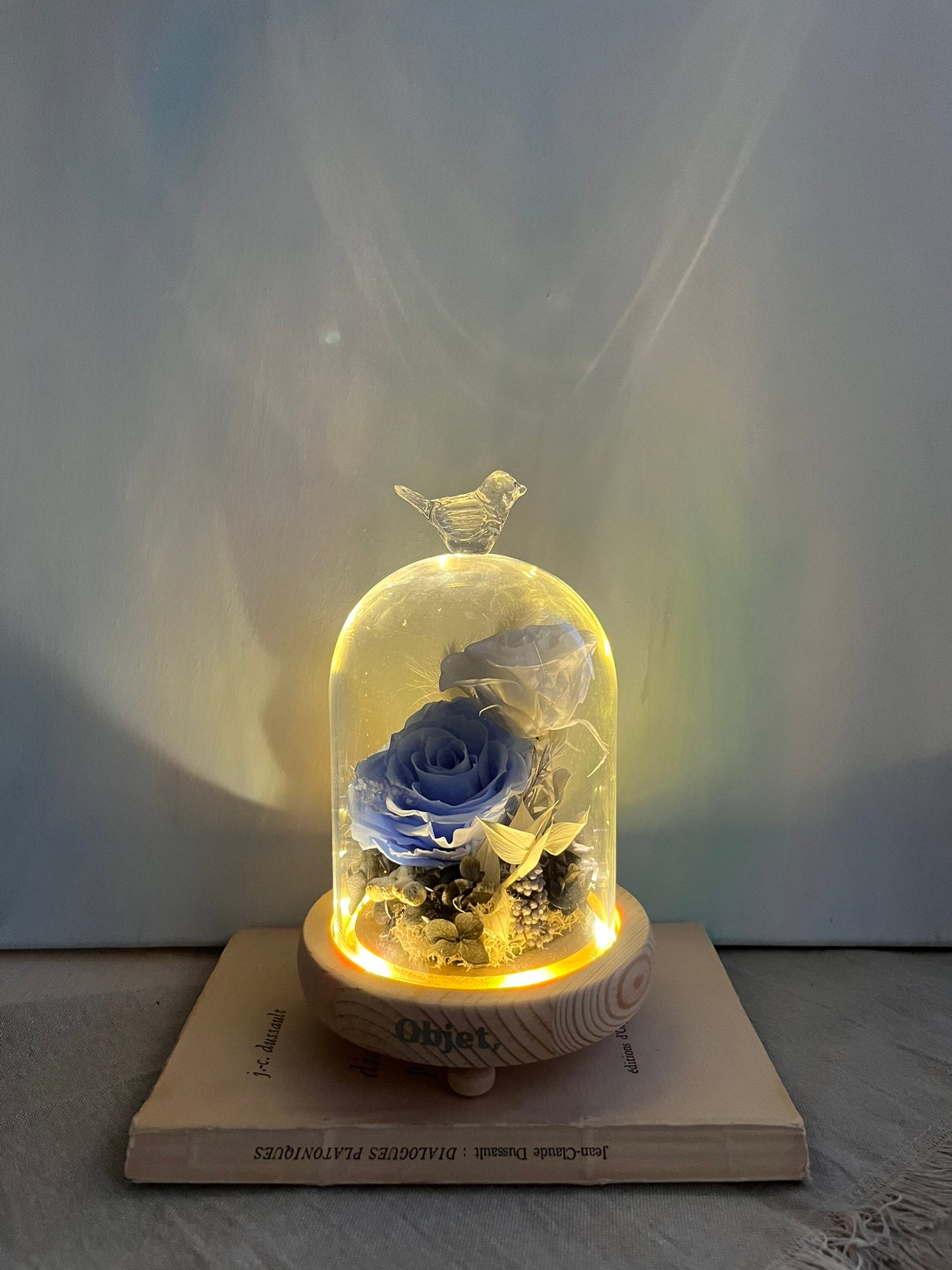 Enchanted Rose Glass Dome #10 - Azure Birdsong (LED Base)