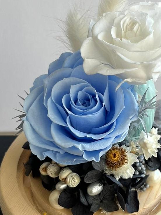 Enchanted Rose Glass Dome #10 - Azure Birdsong (LED Base)