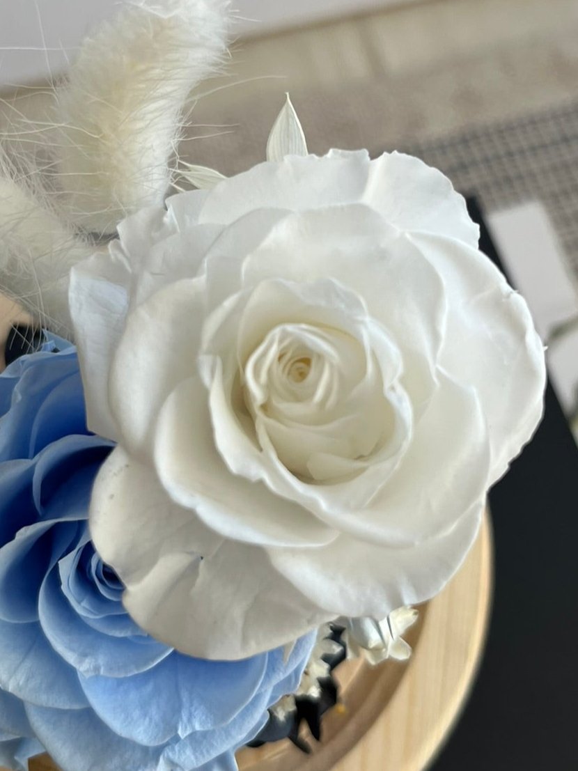 Enchanted Rose Glass Dome #10 - Azure Birdsong (LED Base)