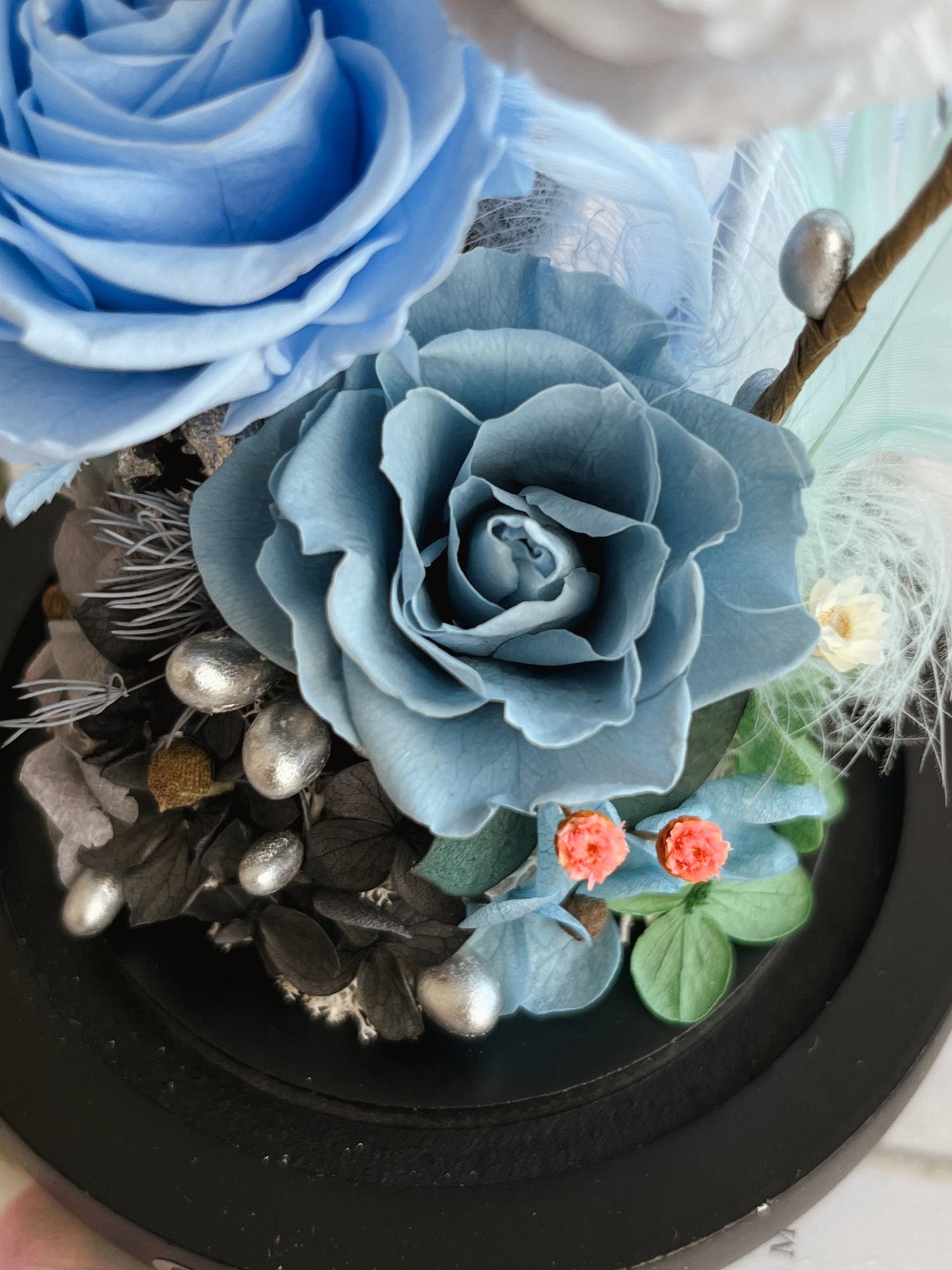 Enchanted Rose Glass Dome #14 - Frosted Grace