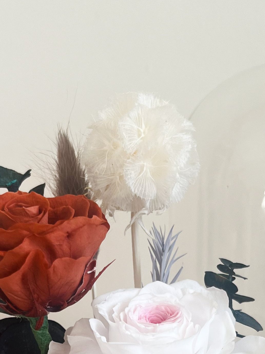 Preserved flower Glass Dome #15 - Ever After Rose
