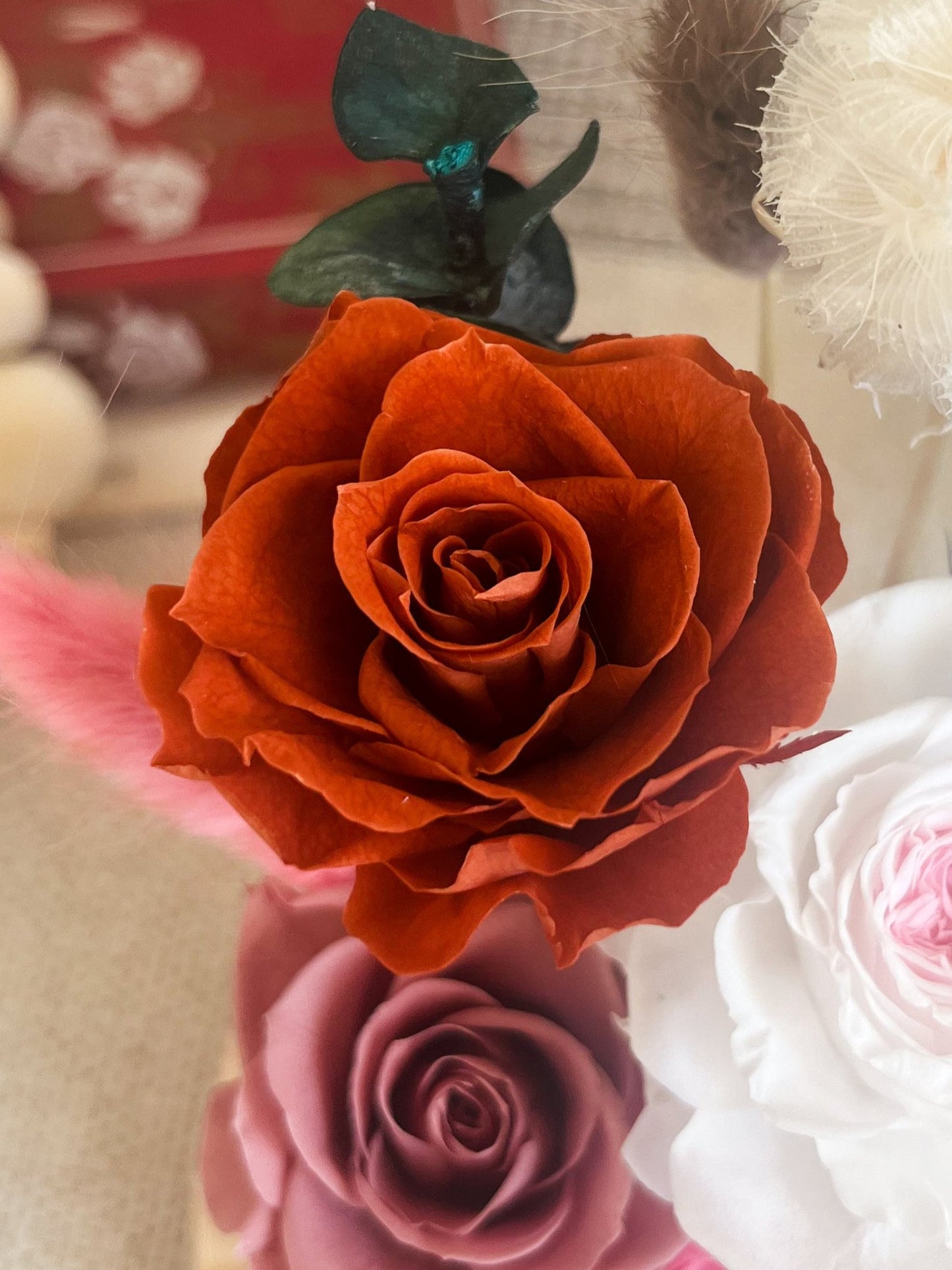 Preserved flower Glass Dome #15 - Ever After Rose
