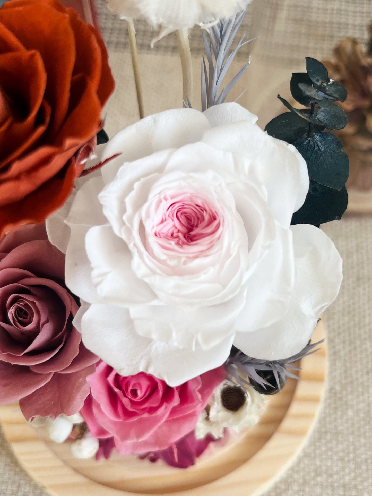 Preserved flower Glass Dome #15 - Ever After Rose