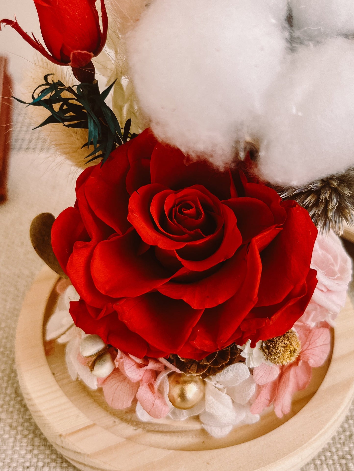 Preserved flower Glass Dome #18 - Red Muse