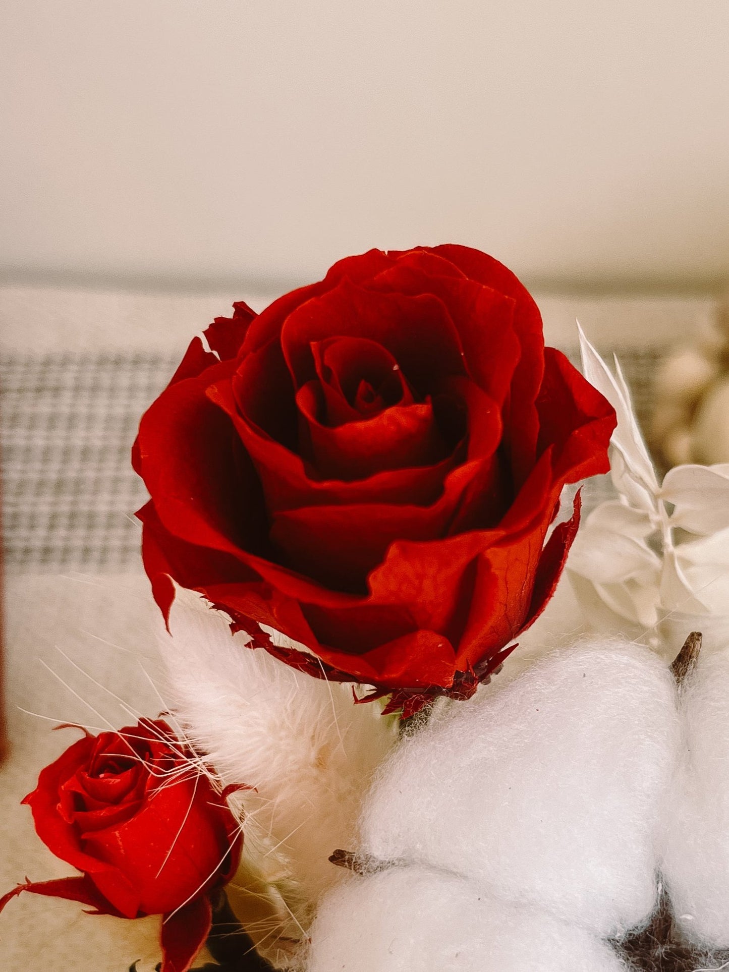 Preserved flower Glass Dome #18 - Red Muse