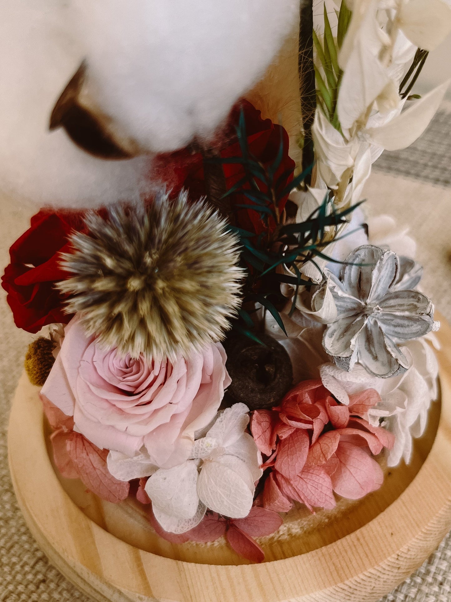 Preserved flower Glass Dome #18 - Red Muse