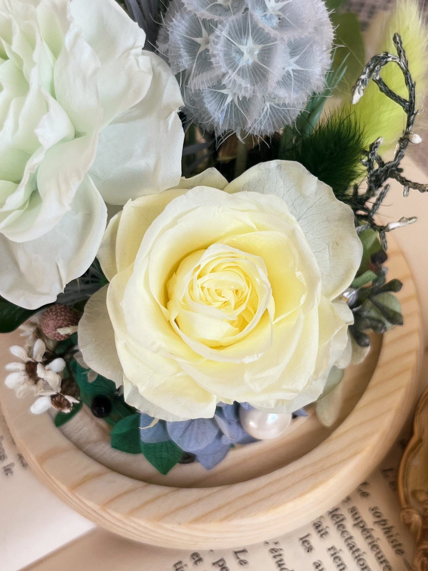 Preserved flower Glass Dome #22 - Portland Rosette (LED Base)