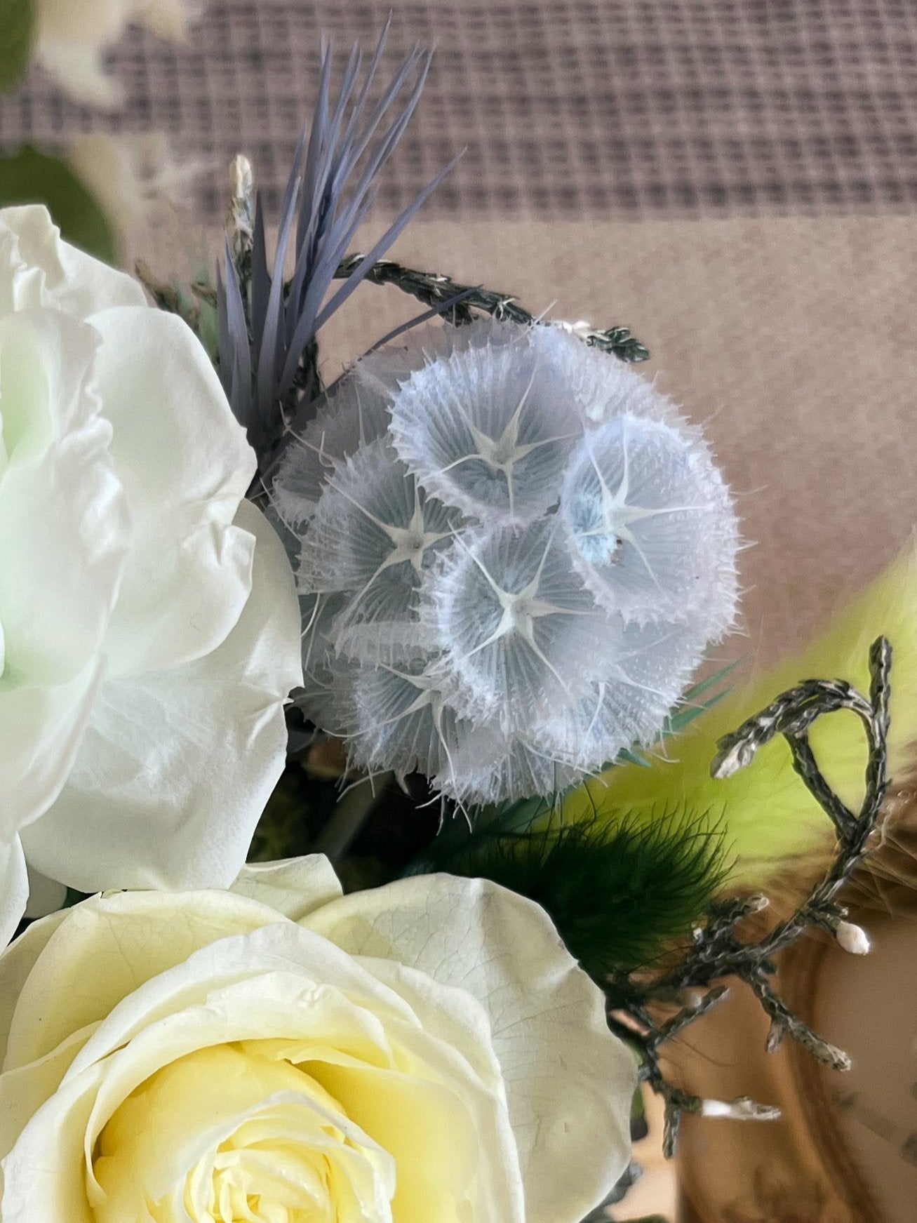 Preserved flower Glass Dome #22 - Portland Rosette (LED Base)