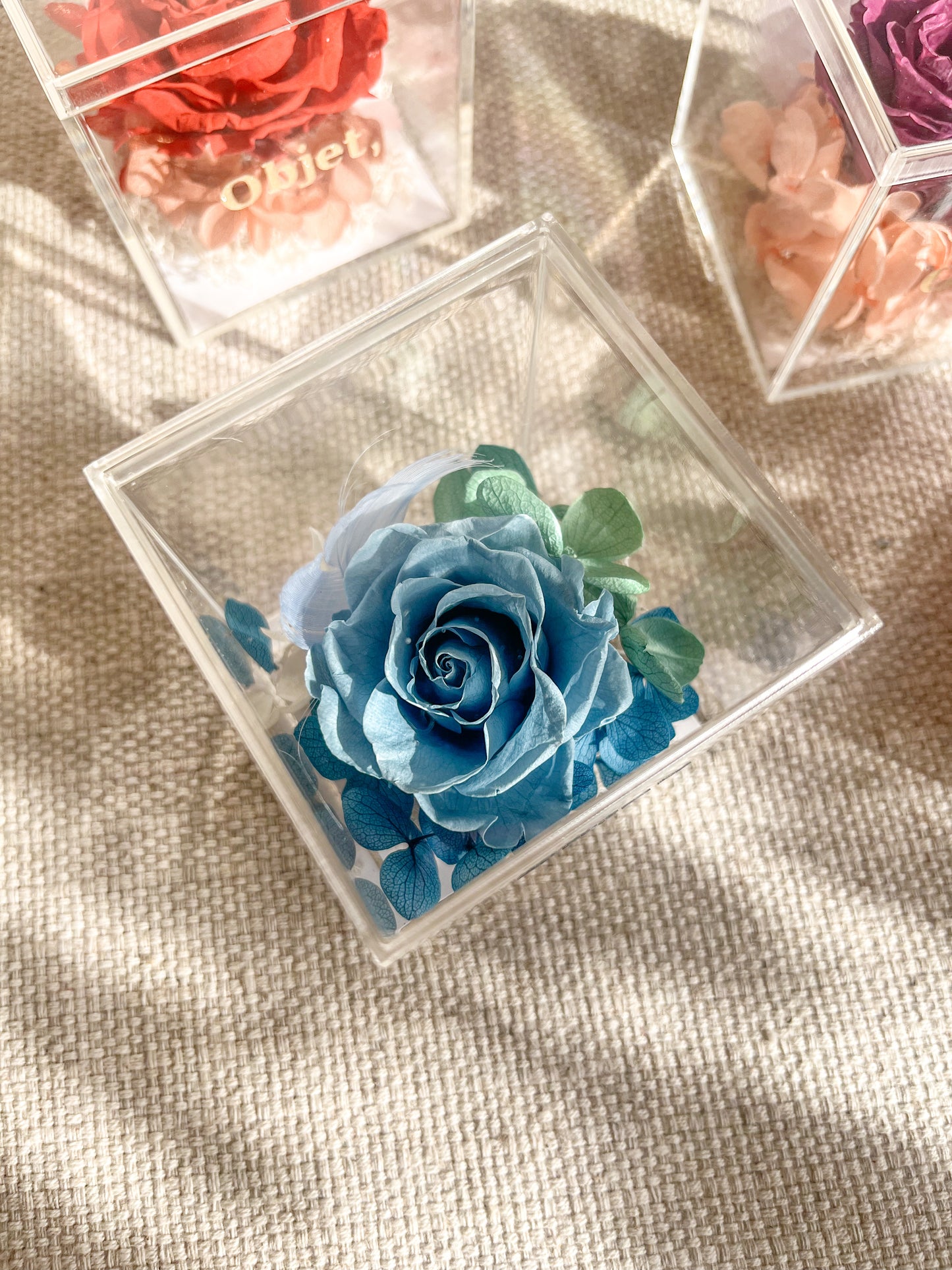 Eternal Rose Box - Chromatic Cube