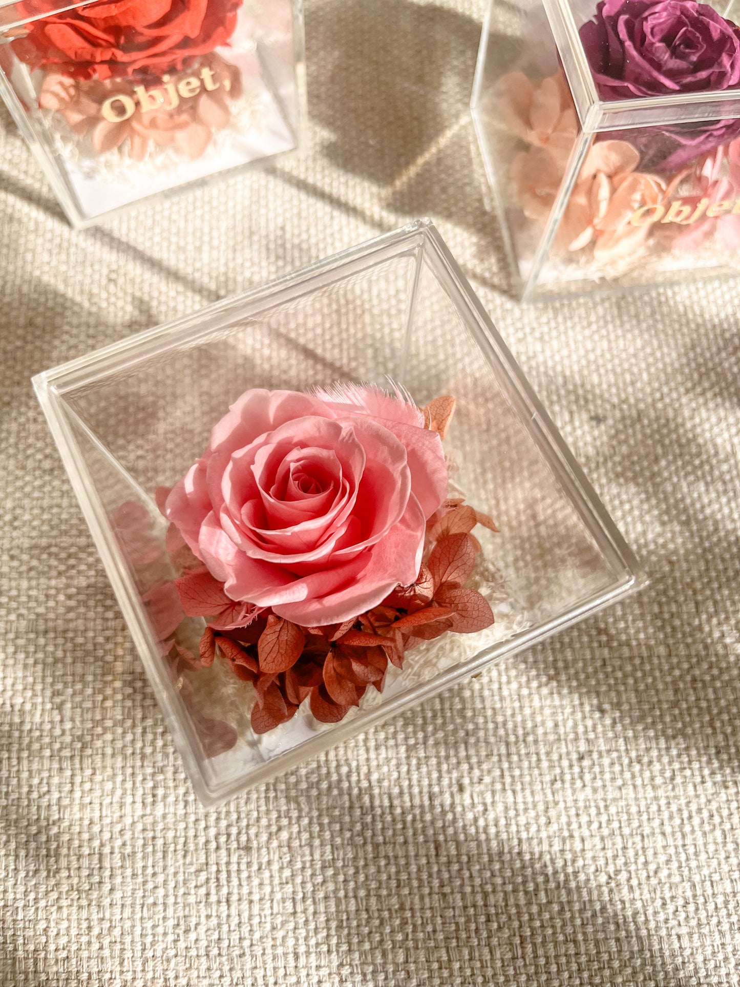 Eternal Rose Box - Chromatic Cube