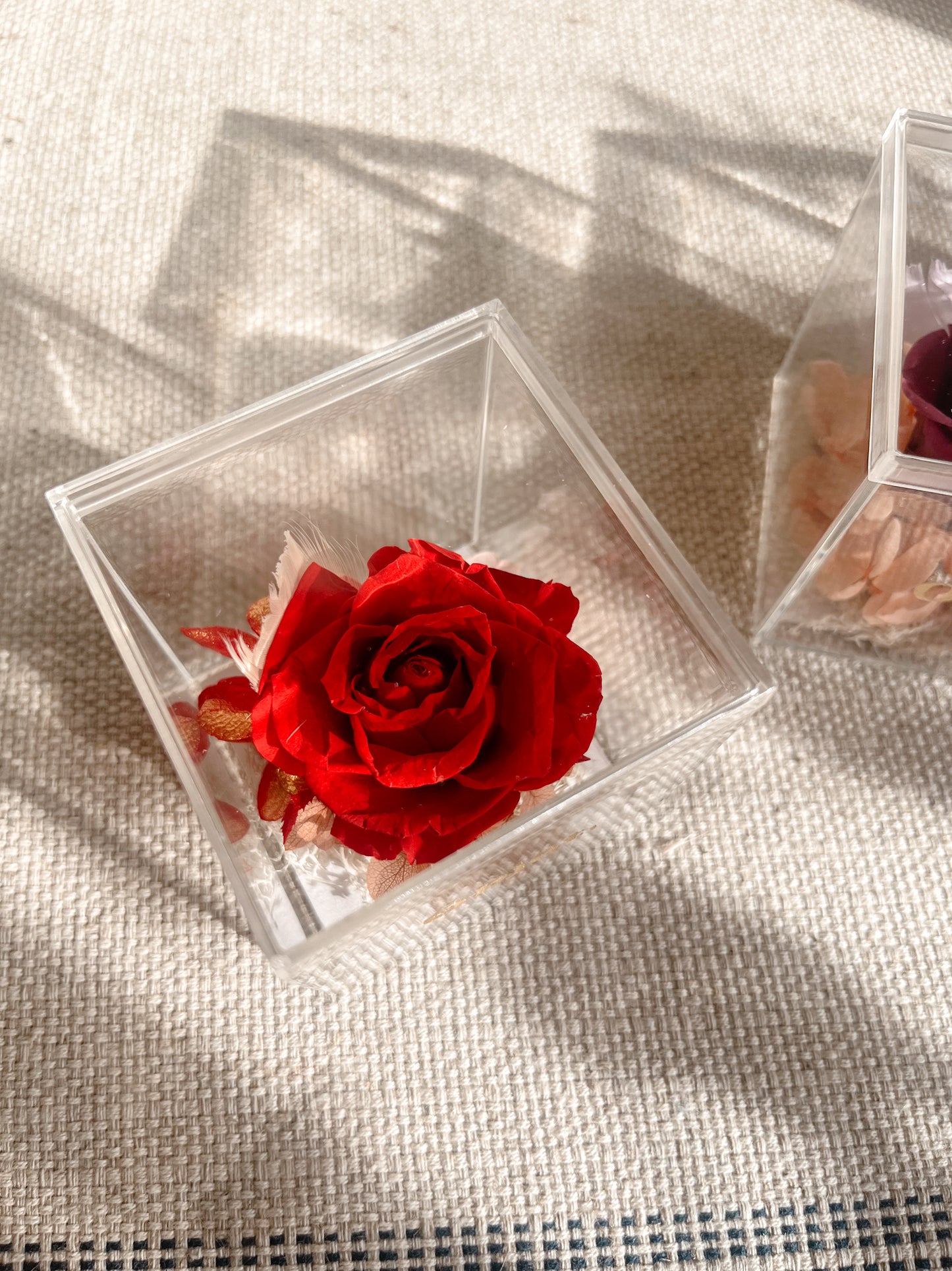 Eternal Rose Box - Chromatic Cube