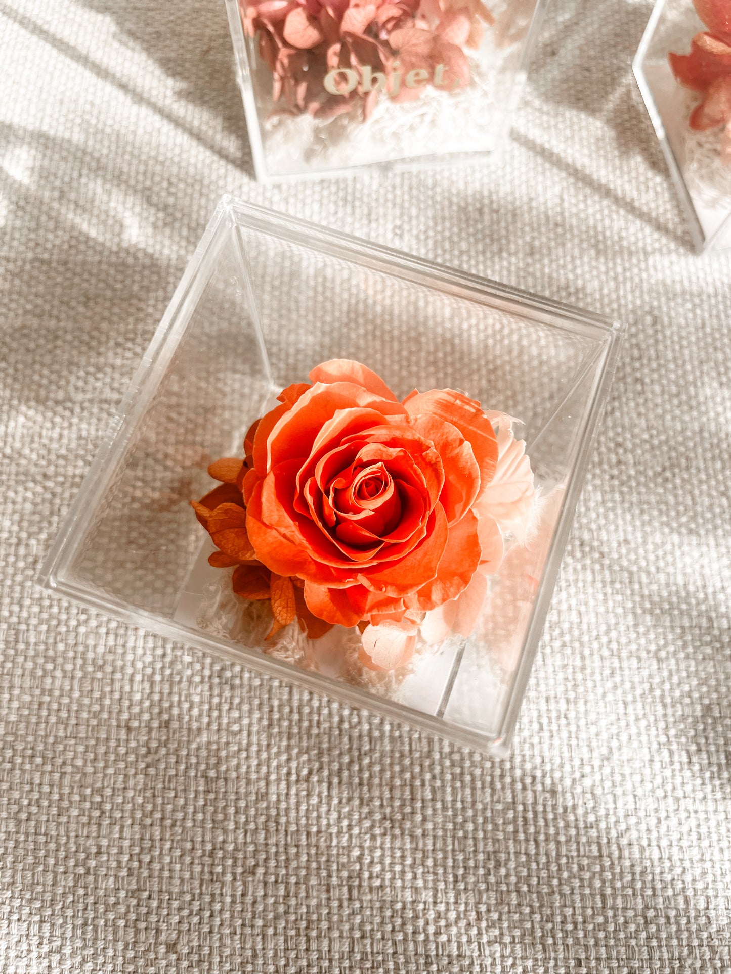Eternal Rose Box - Chromatic Cube