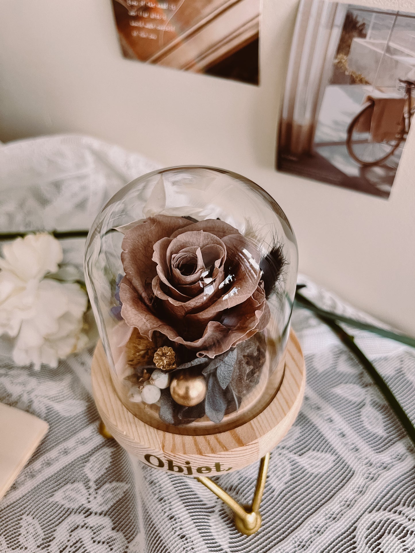 Preserved Rose Glass Dome #11 - Cappuccino