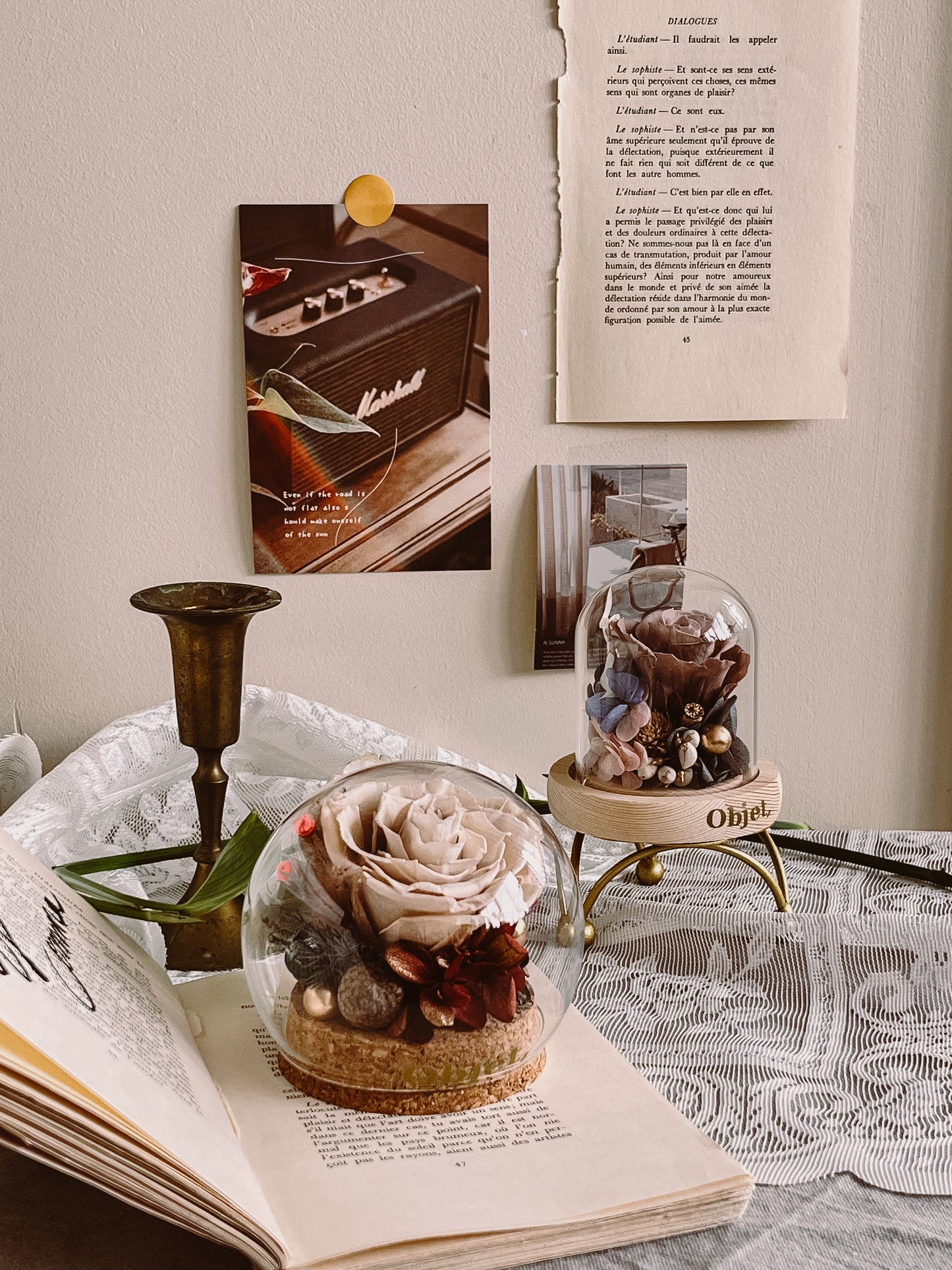 Preserved flower Glass Dome #27 Mocha Mousse rose