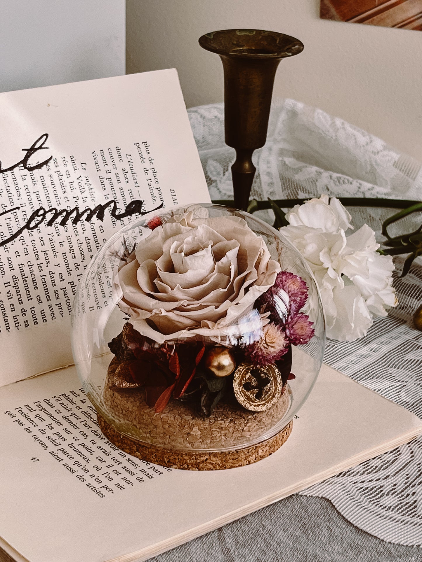 Preserved flower Glass Dome #27 Mocha Mousse rose