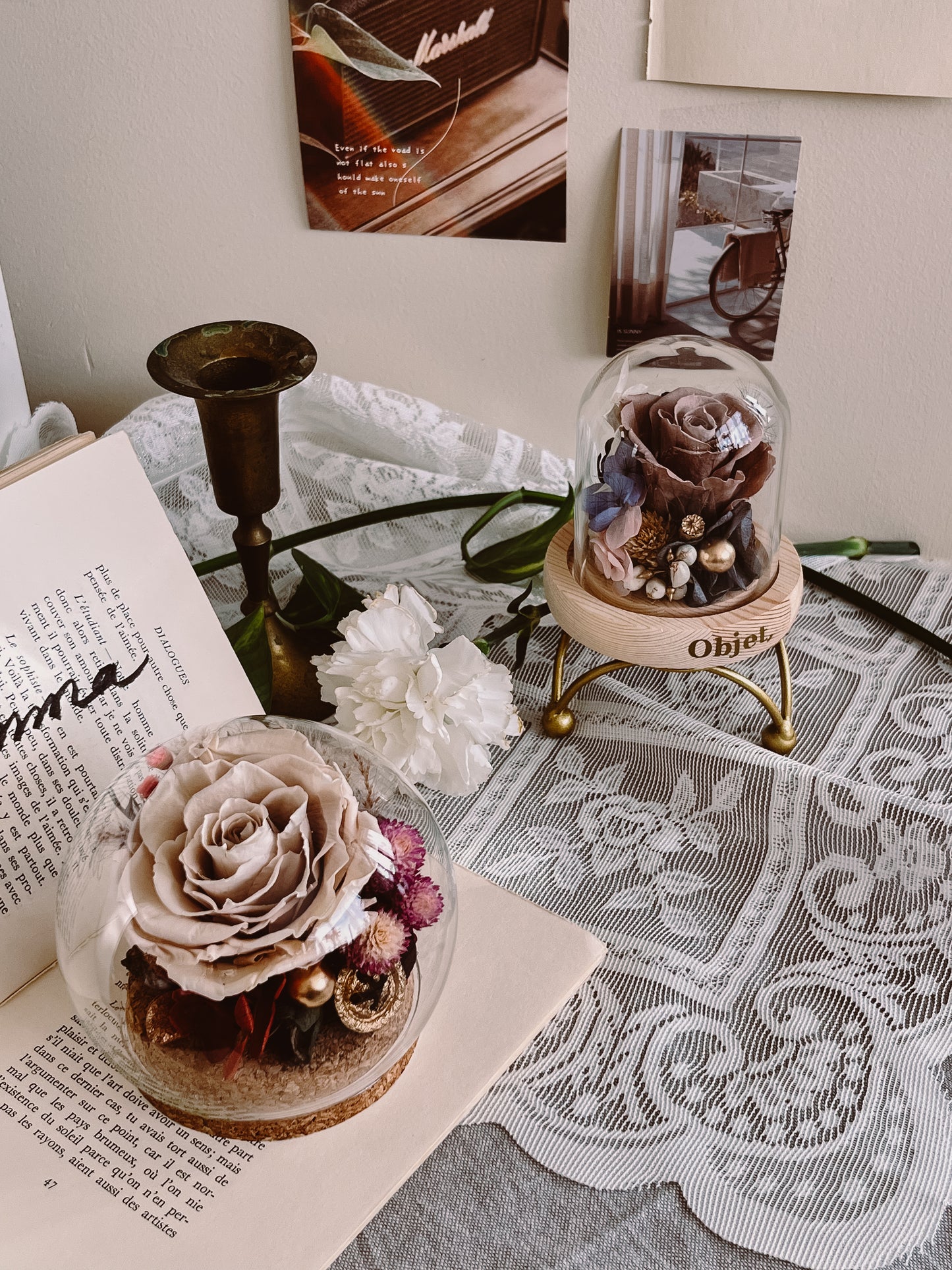 Preserved flower Glass Dome #27 Mocha Mousse rose
