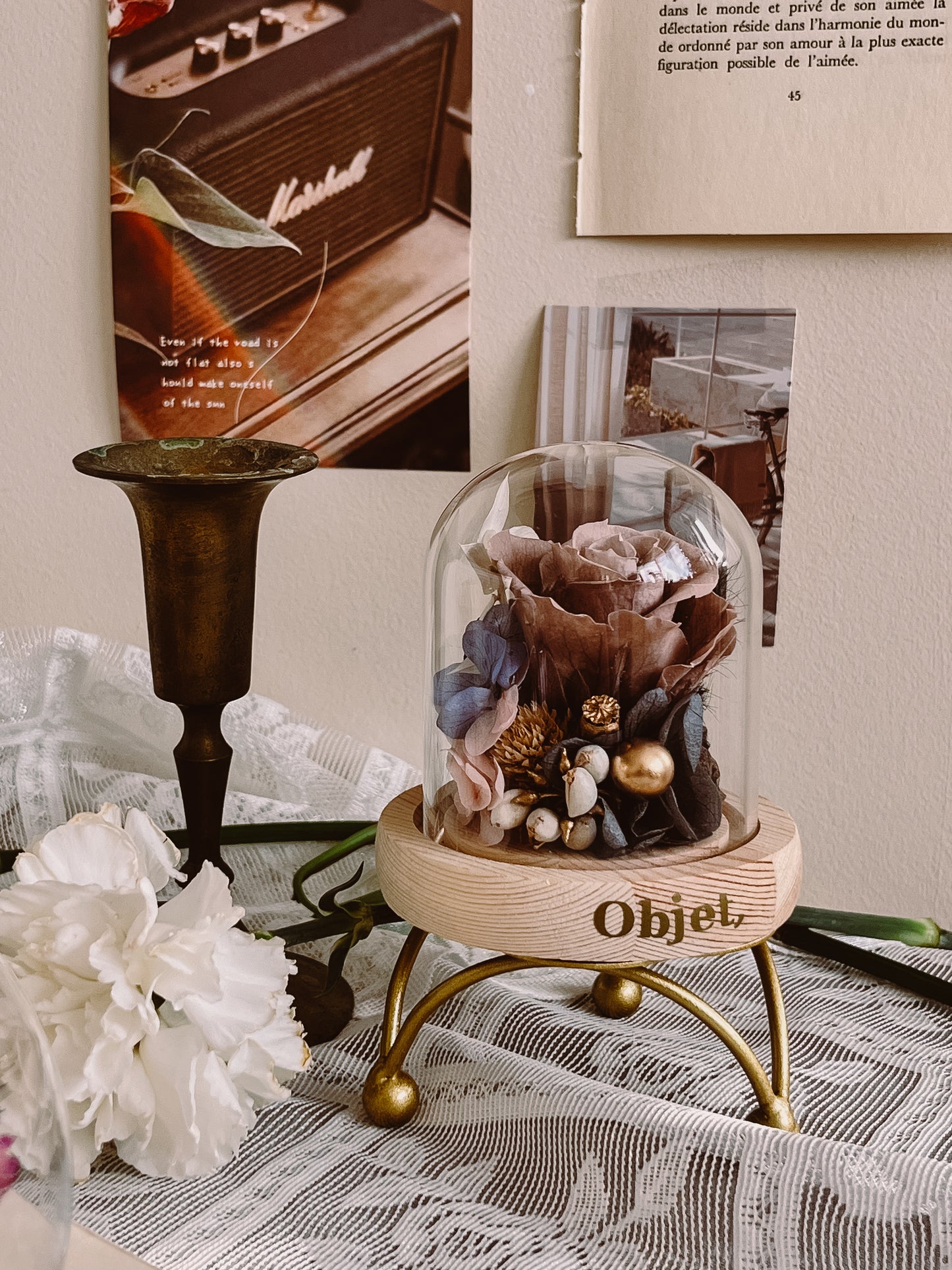 Preserved Rose Glass Dome #11 - Cappuccino