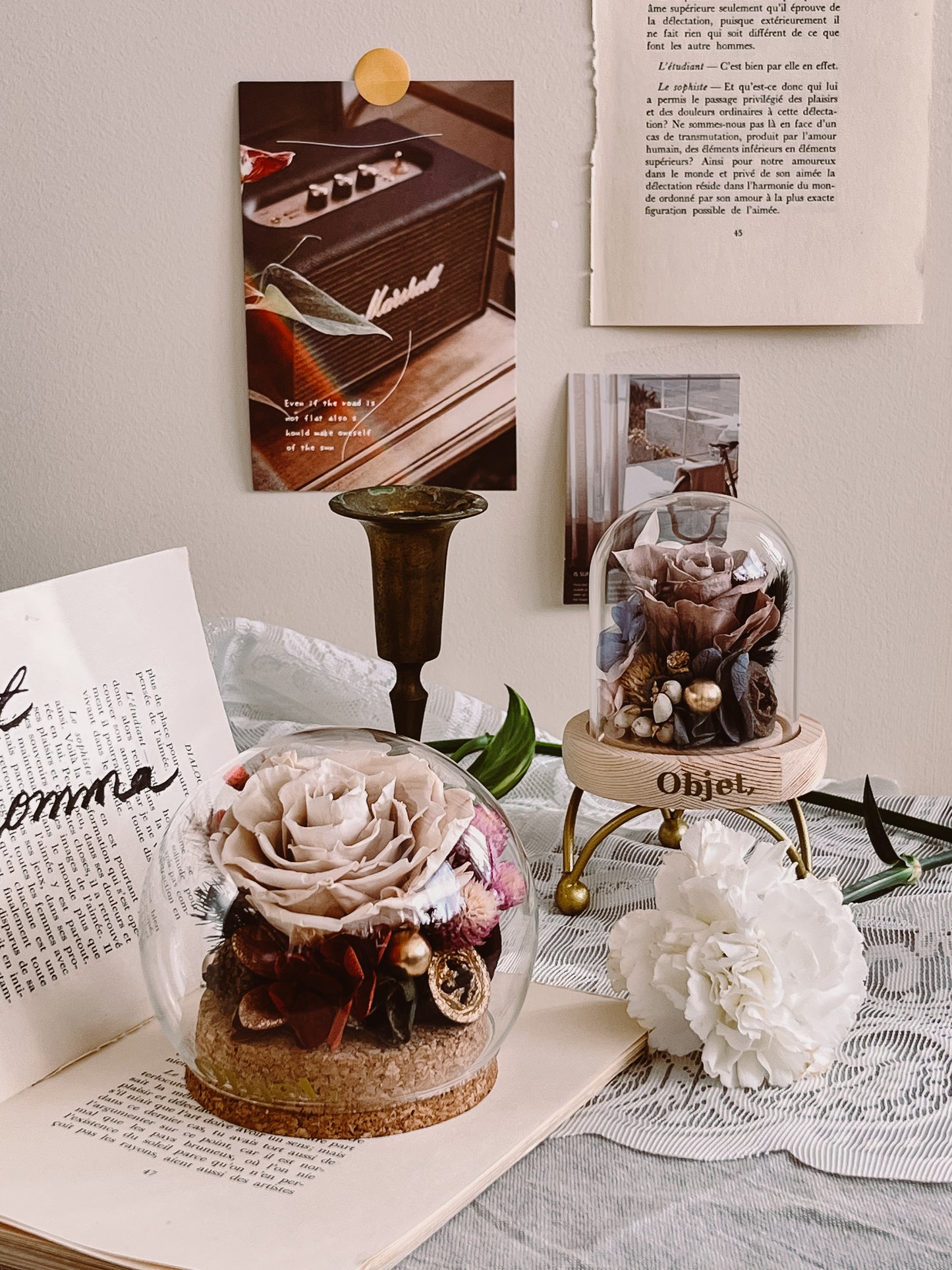 Preserved Rose Glass Dome #11 - Cappuccino
