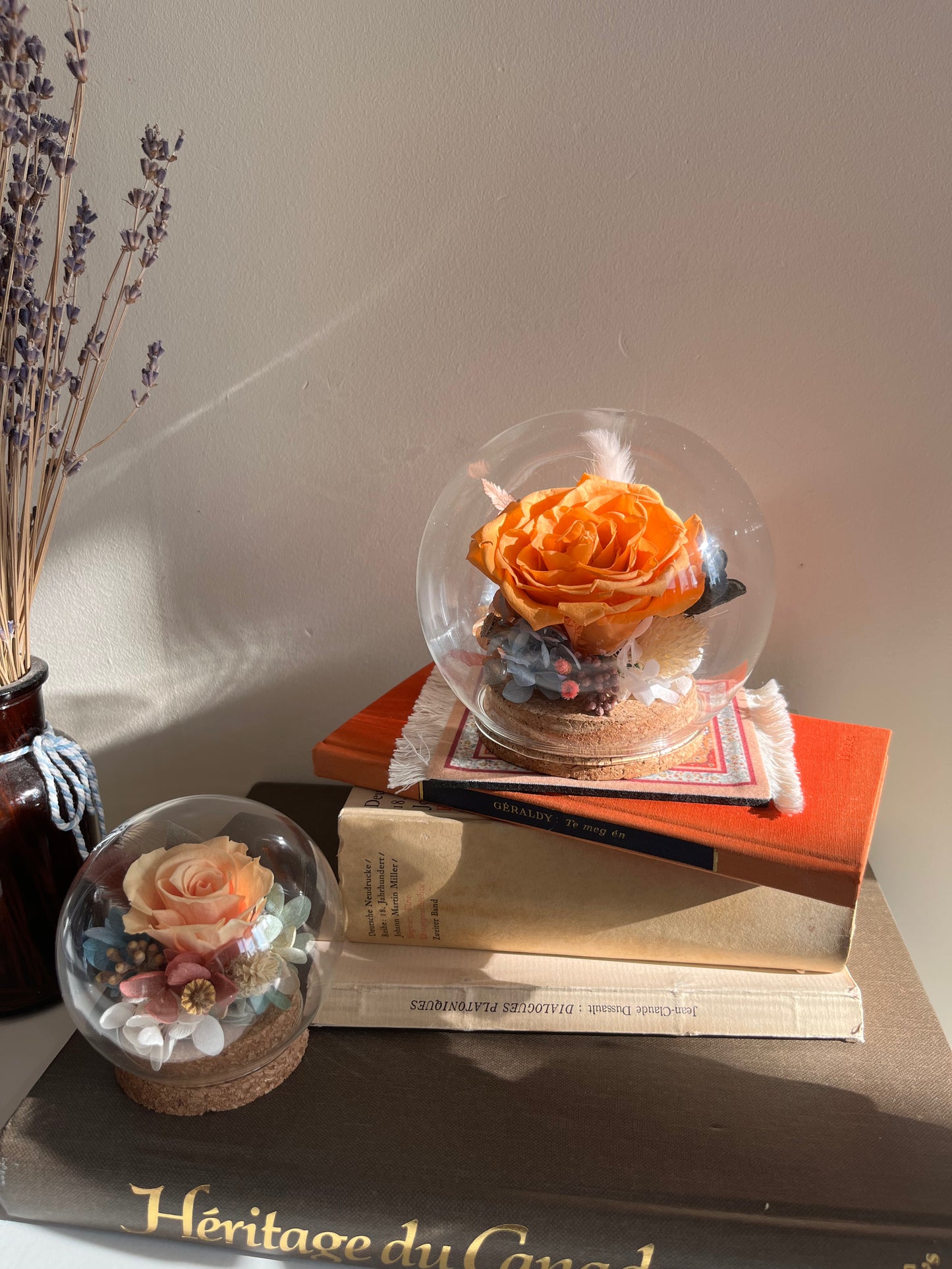 Preserved flower Glass Dome #25 - Saffron rose