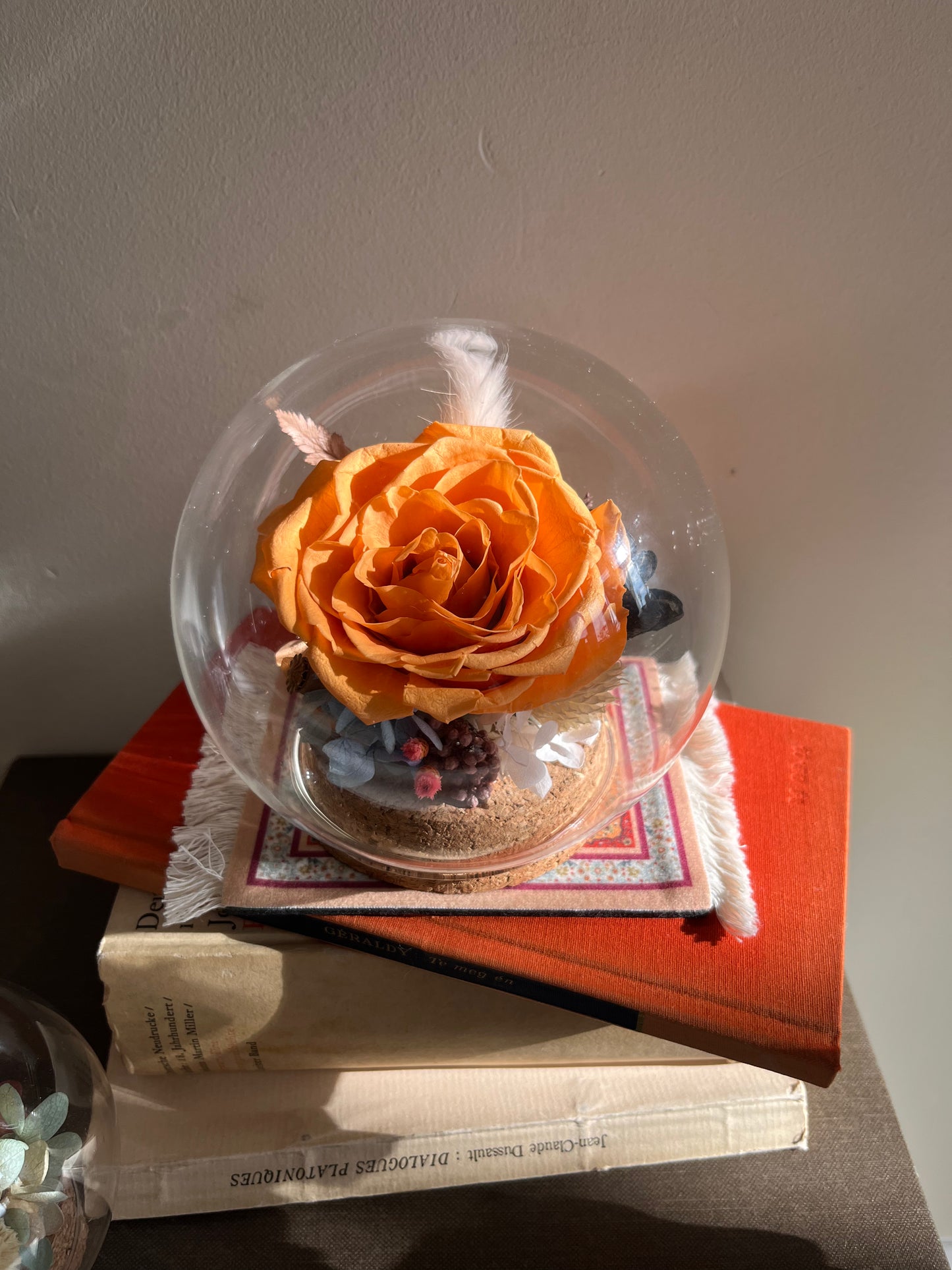 Preserved flower Glass Dome #25 - Saffron rose