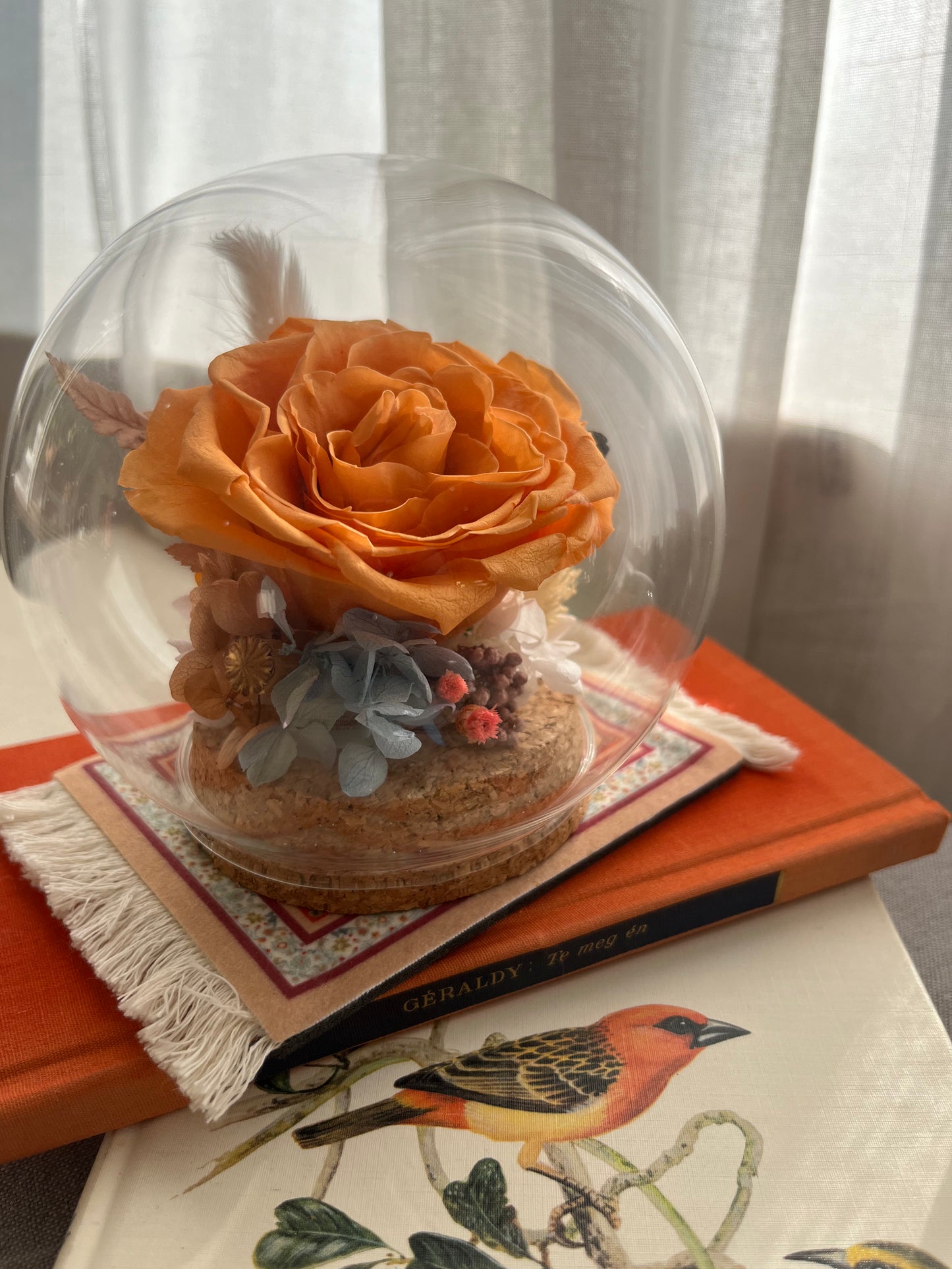 Preserved flower Glass Dome #25 - Saffron rose