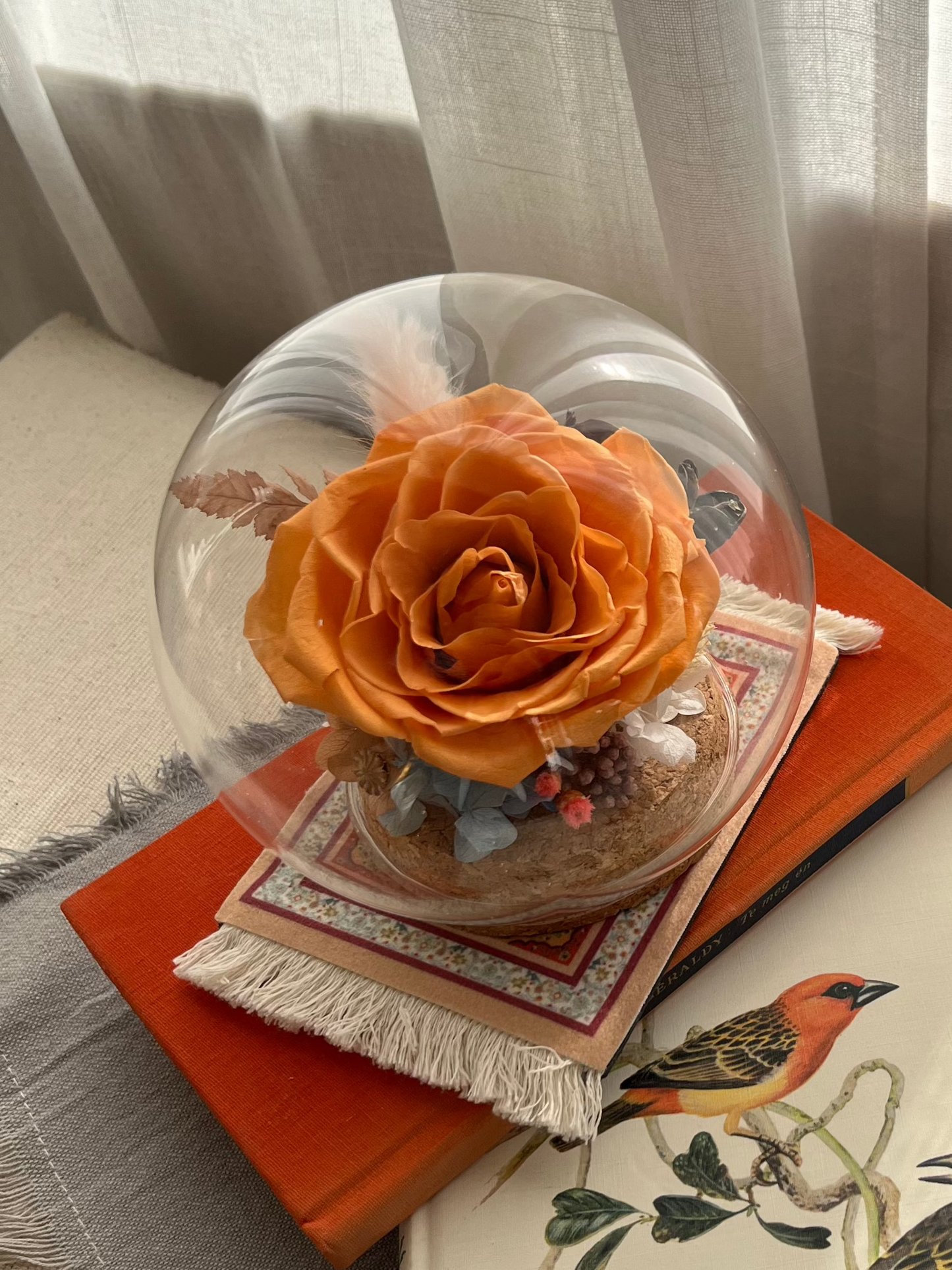 Preserved flower Glass Dome #25 - Saffron rose