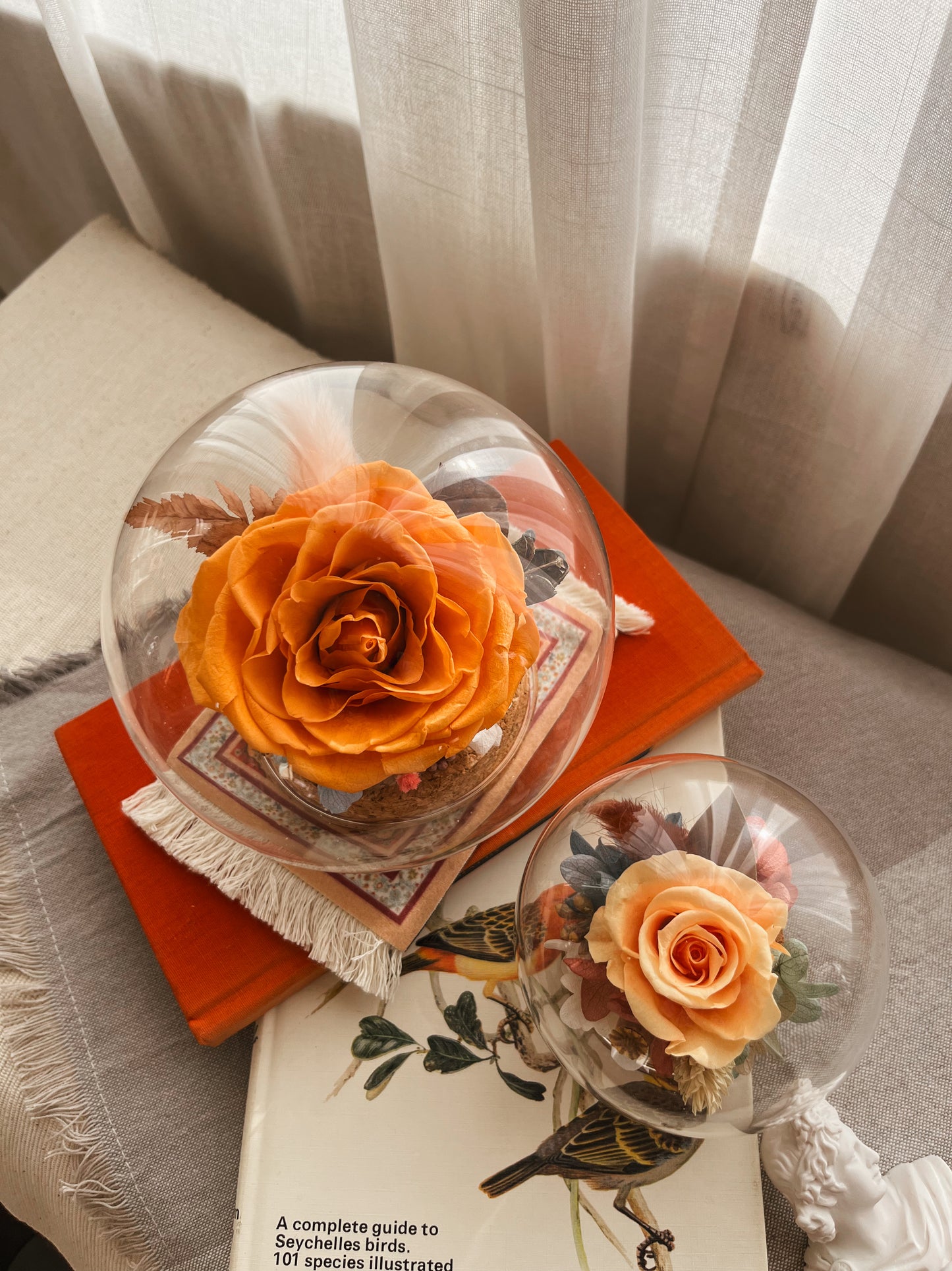 Preserved flower Glass Dome #25 - Saffron rose
