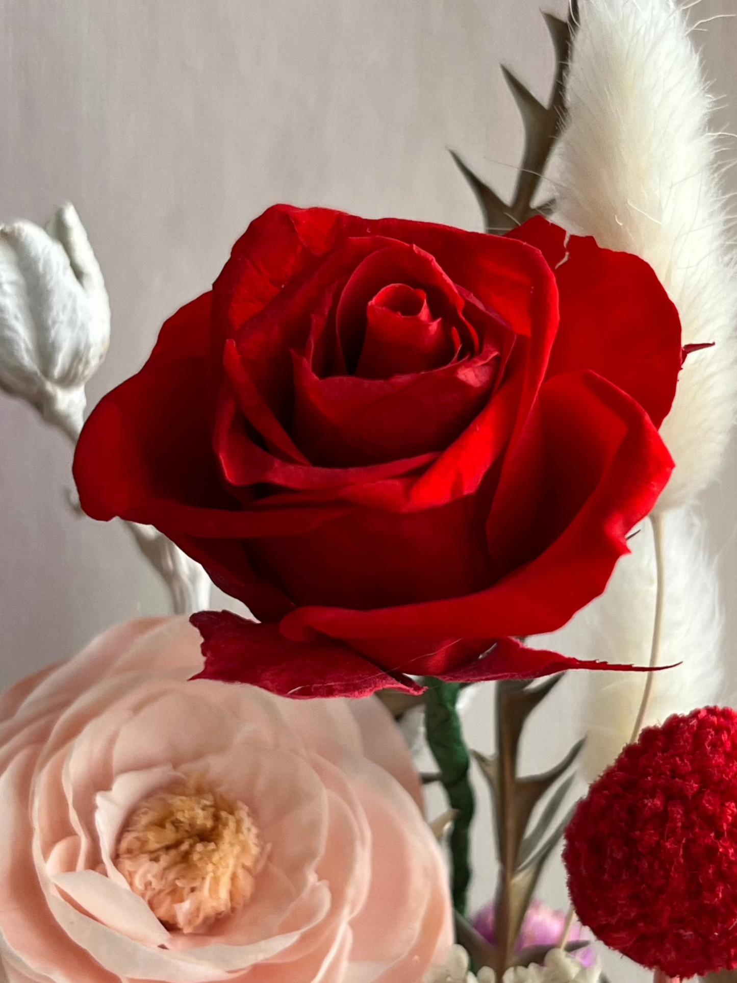 Forever roses Glass Dome #5 - Rosy Ranunculus