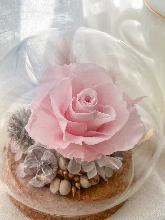 Preserved flower Glass Dome #26 - Grasse Blush