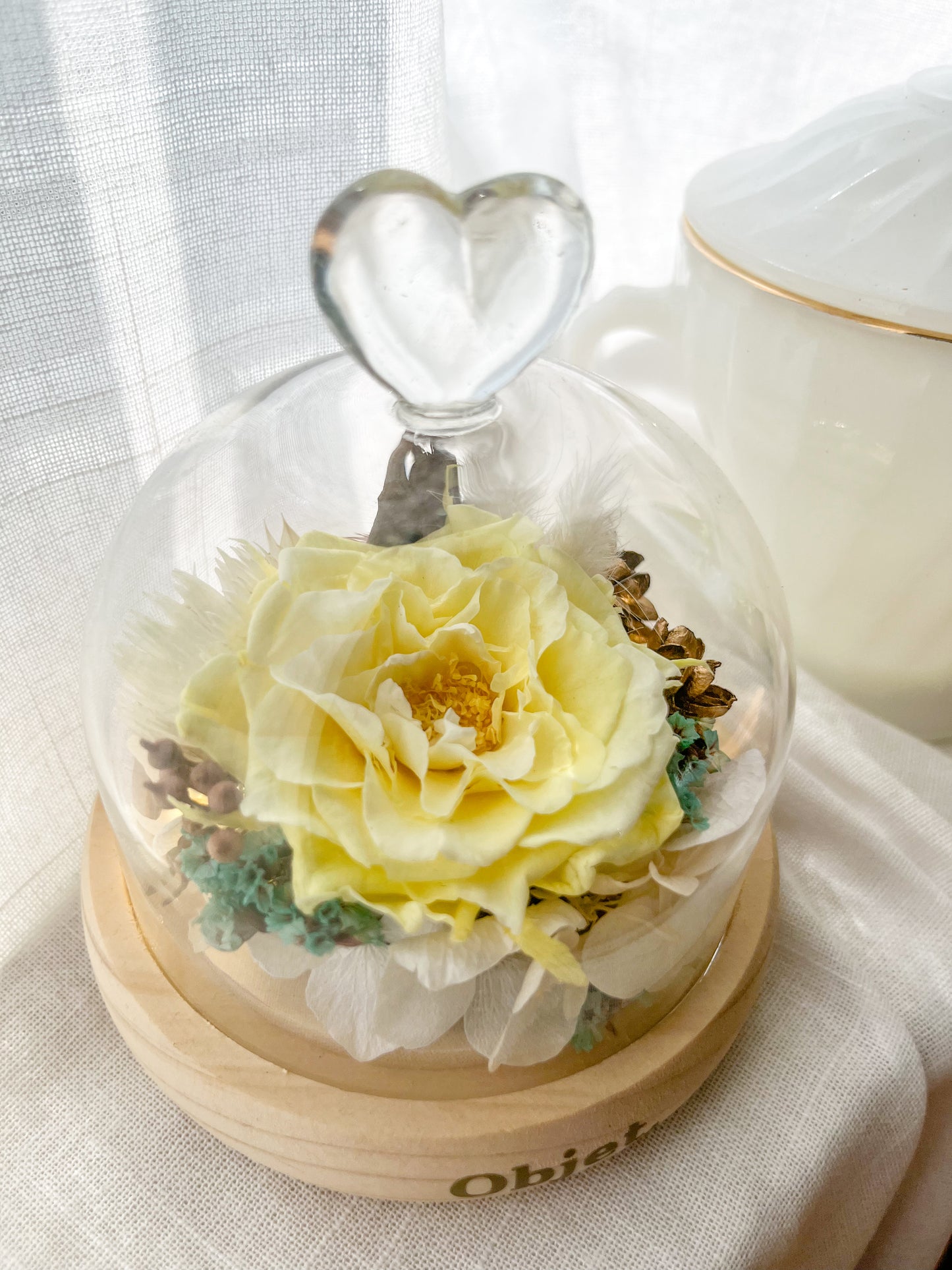 Preserved Rose Glass Dome #3 - Damask Rose (LED Base)