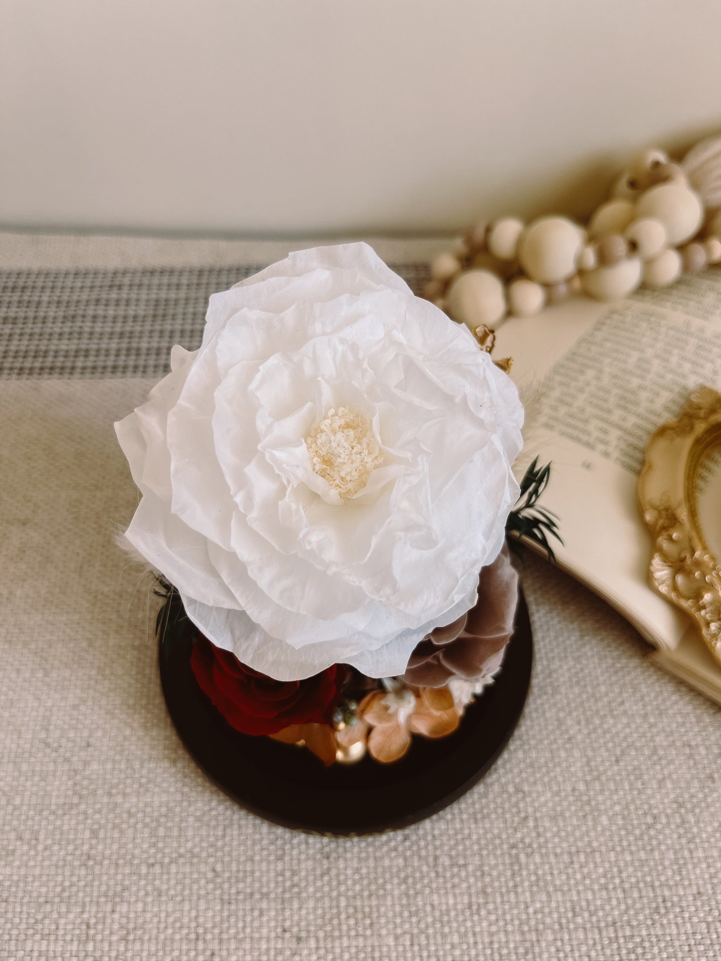 Preserved flower Glass Dome #19 - Damask Royal