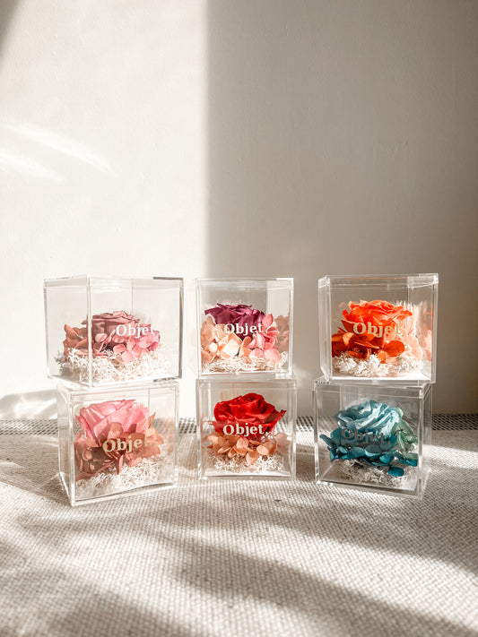 Eternal Rose Box -  Chromatic Cube