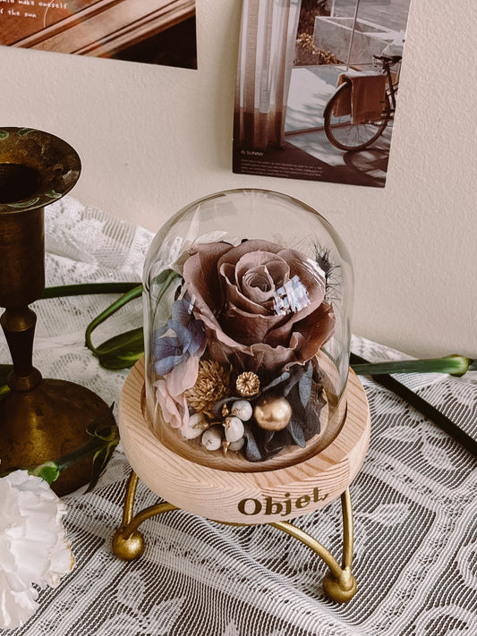 Preserved Rose Glass Dome #11 - Cappuccino