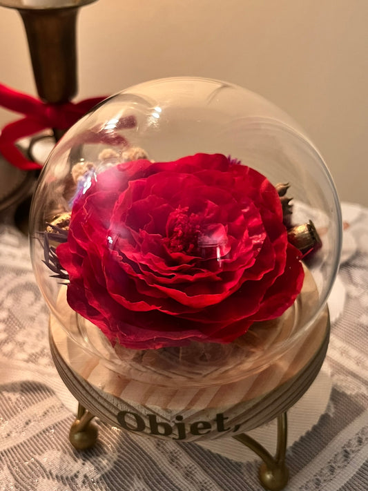 Forever flower Glass Dome #29 - Red English Rose